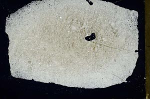 Cross Polarized, S47223