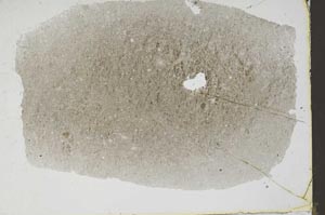 Plane Polarized, S47223