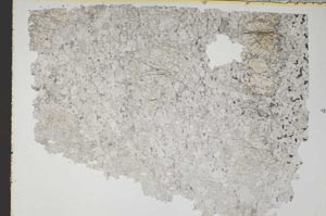Plane Polarized, S47228