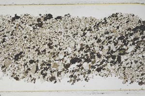 Plane Polarized, S47245