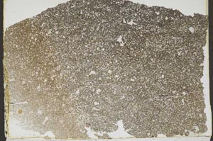 Plane Polarized, S47247