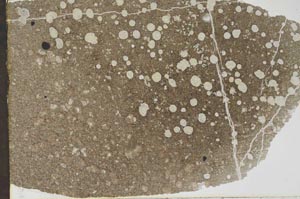 Plane Polarized, S47253