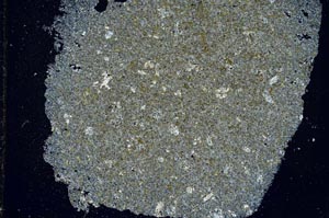 Cross Polarized, S47258