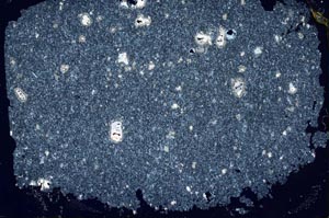 Cross Polarized, S47263