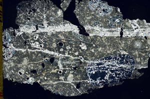 Cross Polarized, S47265