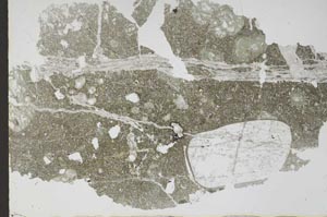 Plane Polarized, S47265