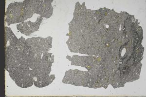 Plane Polarized, S47273