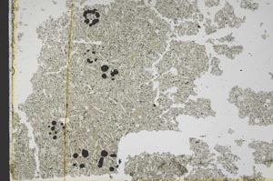 Plane Polarized, S47275