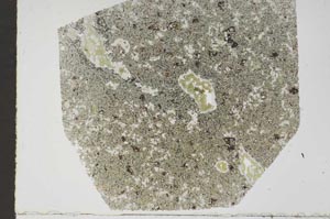 Plane Polarized, S47284