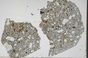 Plane Polarized, S47293