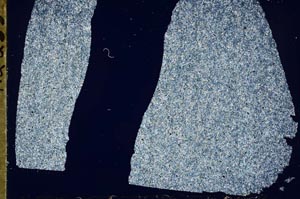 Cross Polarized, S47296