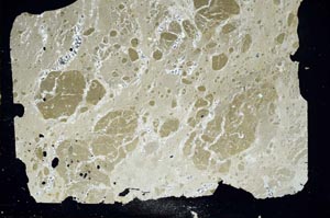 Cross Polarized, S47299