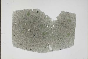 Plane Polarized, S47309