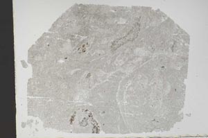 Plane Polarized, S47317