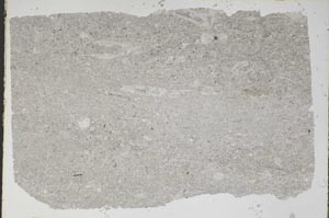Plane Polarized, S47321