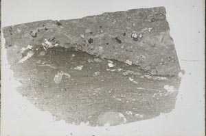 Plane Polarized, S47322