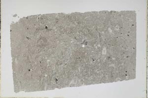 Plane Polarized, S47324