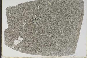 Plane Polarized, S47333