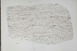 Plane Polarized, S47336