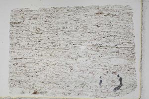 Plane Polarized, S47341