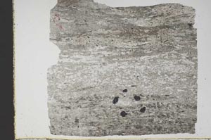Plane Polarized, S47342