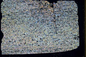 Cross Polarized, S47342/A