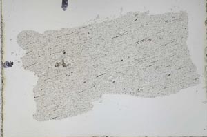 Plane Polarized, S47363