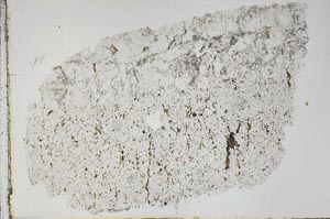 Plane Polarized, S47364