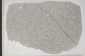 Plane Polarized, S47373