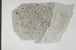 Plane Polarized, S47382