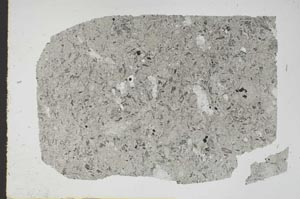 Plane Polarized, S47383