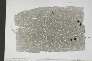 Plane Polarized, S47391