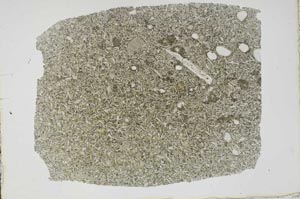 Plane Polarized, S47392