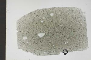 Plane Polarized, S47397