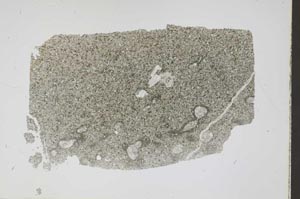 Plane Polarized, S47402