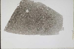 Plane Polarized, S47403