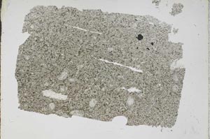 Plane Polarized, S47404