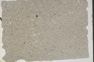 Plane Polarized, S47422