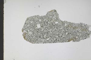 Plane Polarized, S47461
