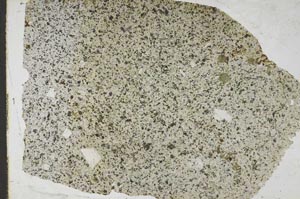 Plane Polarized, S47464/A