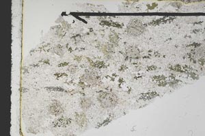 Plane Polarized, S47480
