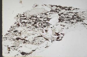 Plane Polarized, S47497