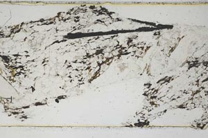 Plane Polarized, S47498