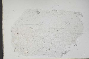 Plane Polarized, S47501