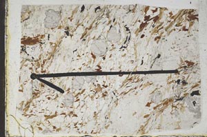 Plane Polarized, S47503