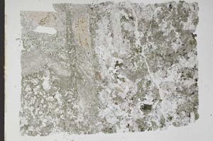 Plane Polarized, S47516