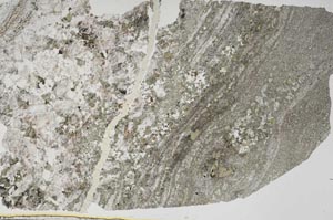 Plane Polarized, S47517