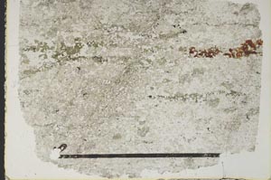 Plane Polarized, S47521