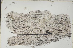 Plane Polarized, S47526