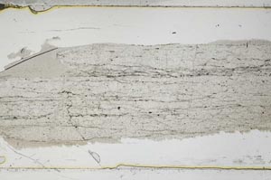 Plane Polarized, S47576